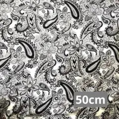 Item thumbnail for item 450bff29-5e75-4dd0-961c-14e395cc364c