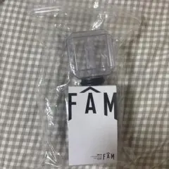 FAM ペンライト timelesz