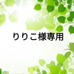 りりこ様専用です