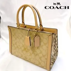 3822 良品 coach コーチ ハンドバッグ シグネチャー F73058