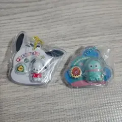 匿名配送　サンリオキャラクターズ パッケージチャーム&チョコボーロ　2個セット