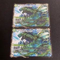 レジルエウルブッカ