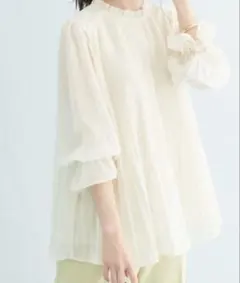 VIS シフォンプリーツスタンドブラウス