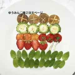 ゆうみん♡様ご注文ページ　押しフルーツ