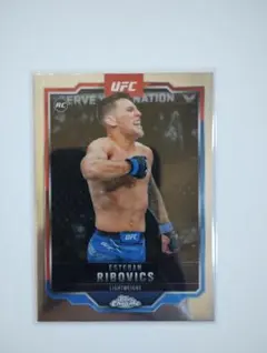 Item thumbnail for item 0f15cb1f-9fc5-422d-bd34-7ababb13b243