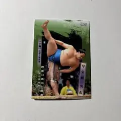 Noël様 リクエスト 2点 まとめ商品