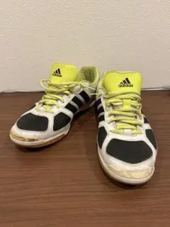 Item thumbnail for item 8da54588-6287-4f08-b9d8-65aa0f8694a5