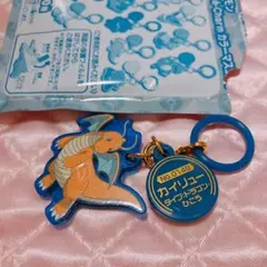 ポケチャーム　カラーマスコット　カイリュウ　ポケモン