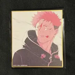 アニメーション 呪術廻戦展 ミニ色紙 虎杖悠仁 渋谷事変