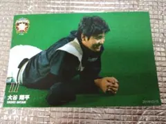 大谷翔平 2014 ハイライトフォト No.382 日本ハム 球団公式写真