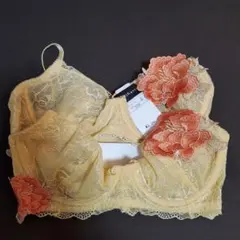 maru様専用　ブラジャー D70　２点セットのサムネイル