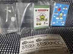 サンリオ　プロフィール帳　ウサハナ　けろっぴ