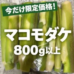 マコモダケ 800g以上 53