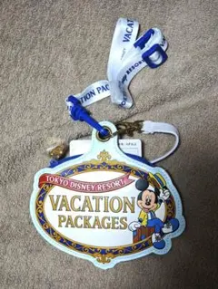 東京ディズニーリゾート ディズニーバケーションパッケージ ストラップ タグ付き