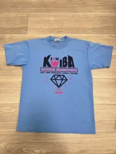 ※最終値下げ　ボールライン　BALLLINE Tシャツ