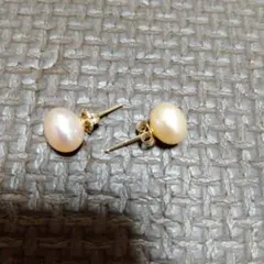 Item thumbnail for item 50cc71b3-2e27-48ec-b698-ab9eb952a167