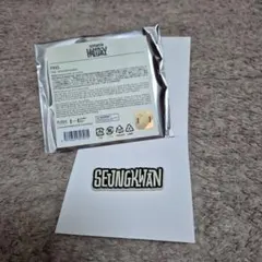 SEVENTEEN HOLIDAY　SEUNGKWAN ピンバッジ