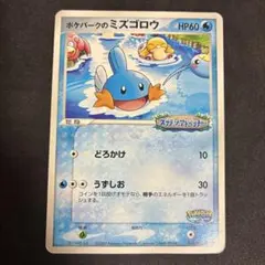 ポケモンカード ポケパークのミズゴロウ プロモ 048/PCG-P 2005