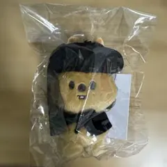 StrayKids スキズ　SKZOO COSTUME PLUSH ハンクォッカ