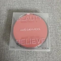 【匿名配送】JUNG SAEM MOOL アーティストクッションブラッシュのサムネイル