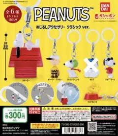 219// PEANUTS めじるしアクセサリー クラシックver.／5種