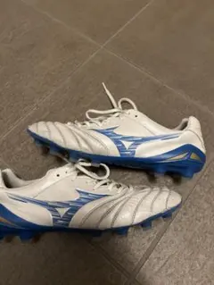 Mizunoモナルシーダネオ3エリート26cm