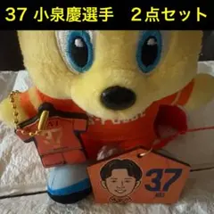 清水エスパルス　37 小泉慶選手　2点セット