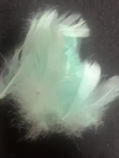 Item thumbnail for item 83a432e4-6551-4a19-a36d-7aac9af937c6