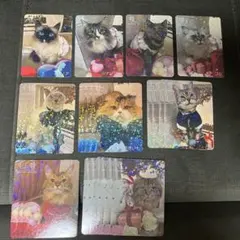 バラ売可】猫カフェmocha 太田 バレンタイン トレカ - メルカリ