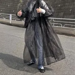 2025年最新】ペルナ オーガンジーの人気アイテム - メルカリ