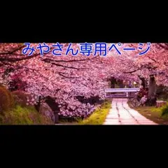 みやさん専用ページ２