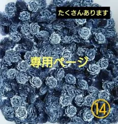 Gomashio House様 リクエスト 2点 まとめ商品