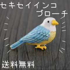 青　鳥　ブローチ　セキセイインコ　真鍮　ピン　文鳥　帯留 インコ