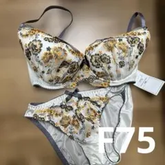 Item thumbnail for item 7cf2c791-fa2e-4cbf-a1b7-1bb90e54b569