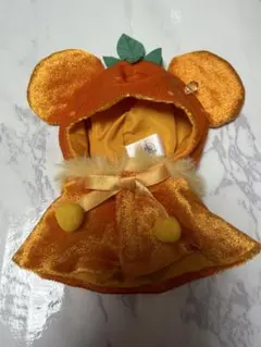 ディズニー　ユニベア　シークレットポンチョ