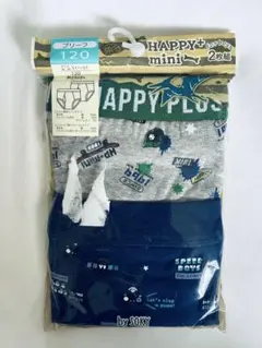 120サイズ ブリーフ 2枚組