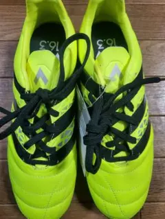 Item thumbnail for item d1031d8a-16b0-40f4-a0fd-61b007eb5bb4