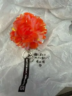 ジャイアンツ ガールズデー チャームポイント・チャーム 増田陸 - メルカリ