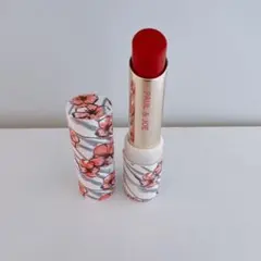 ポール ＆ ジョー ボーテ クリスマスコフレ限定品リップスティック&ケース