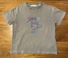 スピノサウルス グレー Tシャツのサムネイル