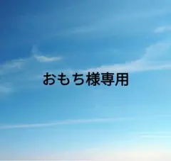 おもち様専用