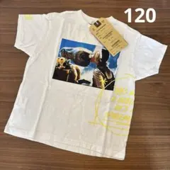 Item thumbnail for item b426116a-d134-40ff-8a4c-0784124994ac