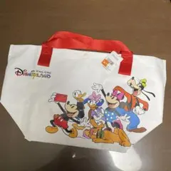 新品未使用　香港ディズニーランド　ショッピングバッグ