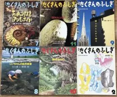 石ころ 地球のかけら 桂雄三 平野恵理子 たくさんのふしぎ傑作集
