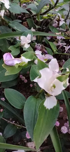 akoneko様 リクエスト 7点 まとめ商品