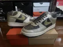Nike Air Force 1 Low B 黒蛇 ビンテージ 観賞用