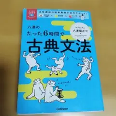 八澤のたった6時間で古典文法