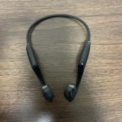 Item thumbnail for item 4822ca89-6cec-4952-afcc-7c795c3db56d