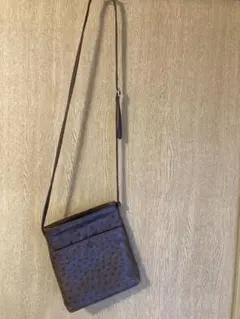 オーストリッチ　ポシェット
