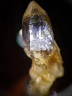 2026年最新】ゴールデンヒーラーの人気アイテム - メルカリ